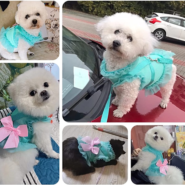 Liten hundsele och koppel set No Pull valp västar selar mjuk justerbar andningsbar mesh söt rosett husdjur hundsele klänning