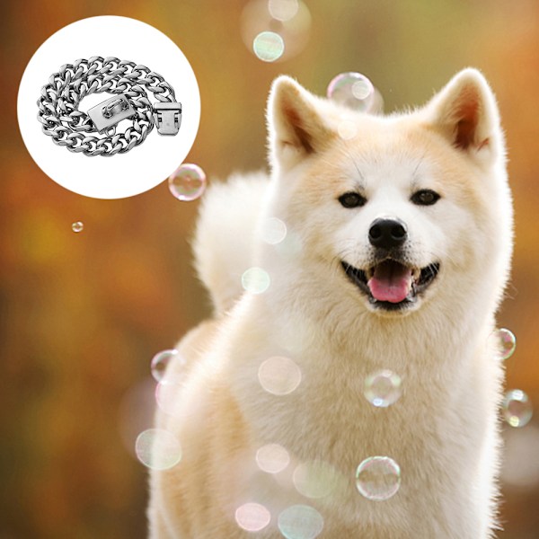 Lyxigt 18K guld hundhalsband, personligt kraftigt 1/2 tum brett rostfritt stål kubanskt halsband