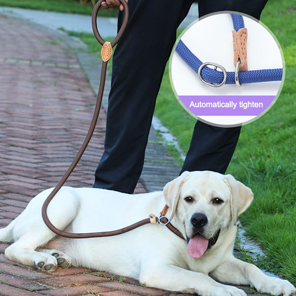 Hundeleie, Glidende Tau Hundetreningsleie, Flettet Dyretreningsleie