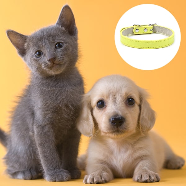 Blød hud hundekrave - en hundekrave til små, mellemstore og store hunde