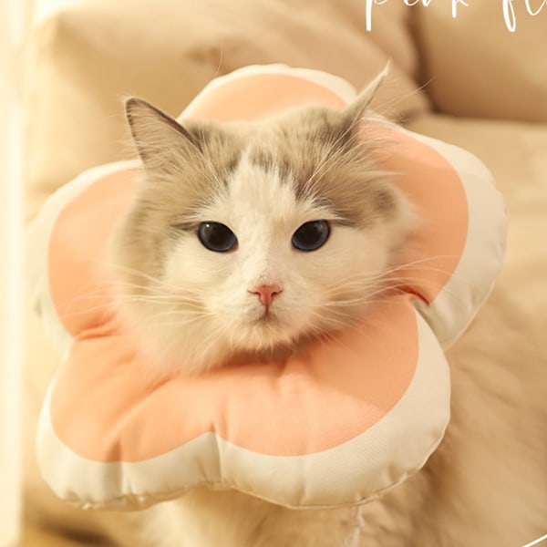 1 st justerbar blomma typ katt tratt krage mjuk, söt katt återhämtning krage för katter efter operation katt tratt