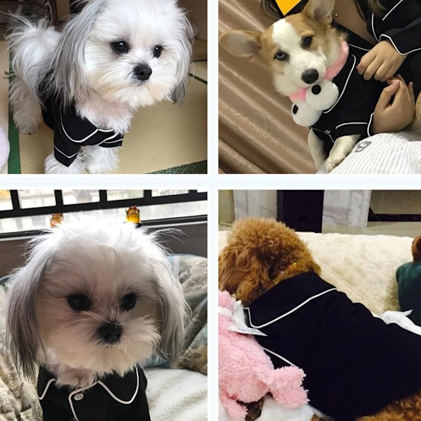 Liten hund katt pyjamas silke, mjuk husdjur tröjor loungewear valp kläder, katter sovkläder skjorta (svart)