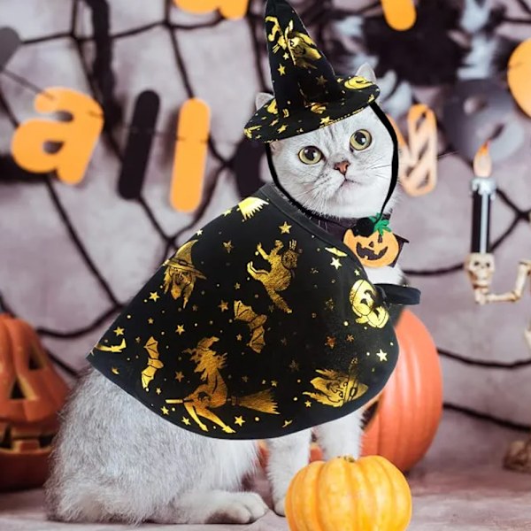 Lemmikkieläinten Halloween-noitaviittasetti, koiran ja kissan hattu ja viitta, asusteet