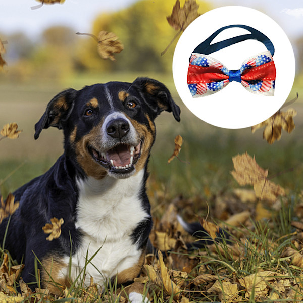 Utie Ties - 2\" x 4\" Premium, med glidande elastik
