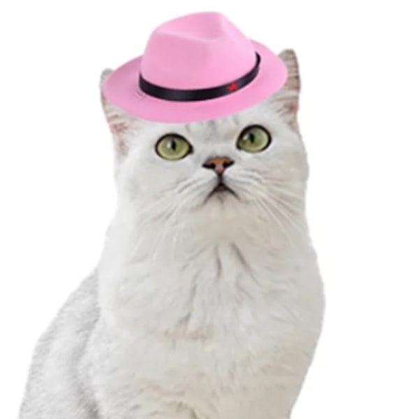 Husdjur hatt hund snygg femuddig stjärnmönster cowboyhatt katt rolig huvudbonad