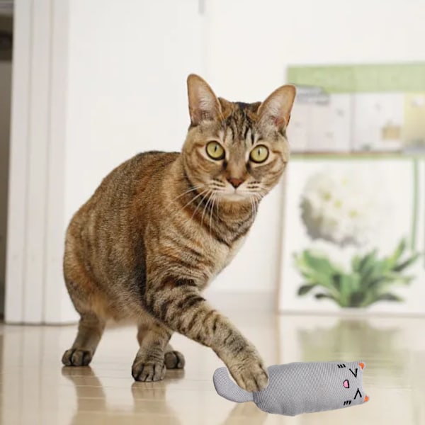 Kattmynta leksak, katt tuggleksak bitresistent kattmynta leksaker för katter, kattmynta fylld tecknad mus katt tandspricka tuggleksak