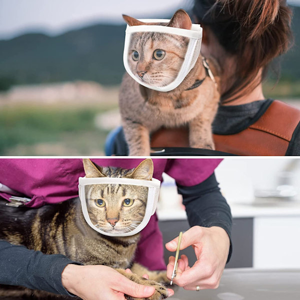 Andningsbar transparent kattmask, husdjursklosax, badmunstycke för att förhindra ömsesidigt bett