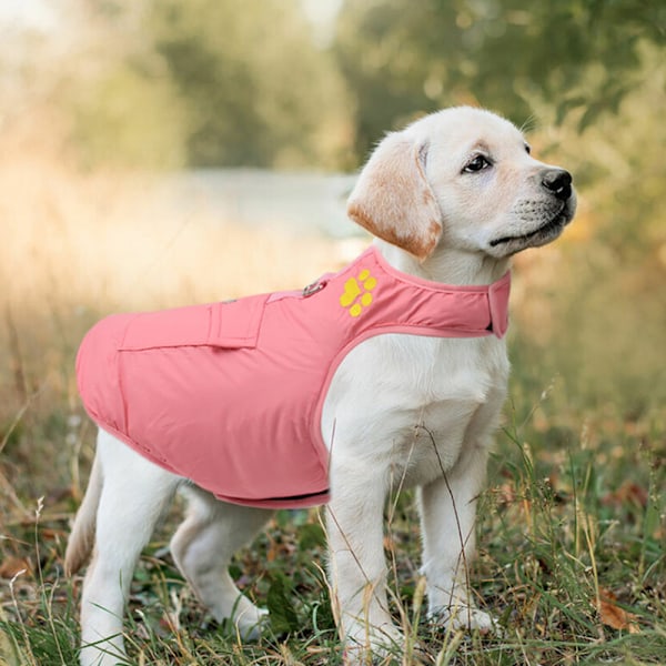 Vadderad väst Hundjacka - Varm dragkedja hundväst fleecejacka