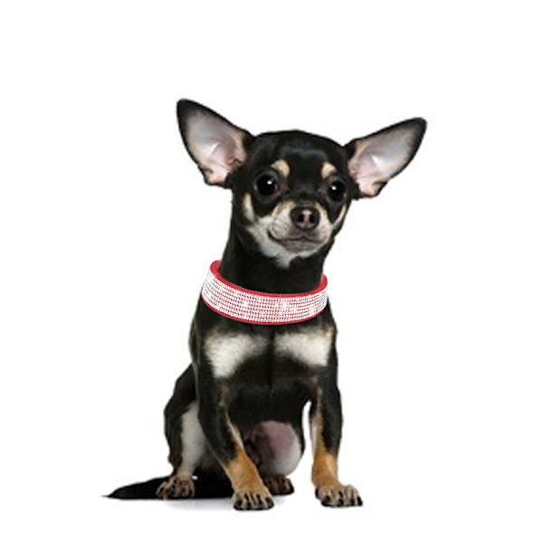 Bling Rhinestone læder hundekrave - Krystalindlagt til hunde og killinger