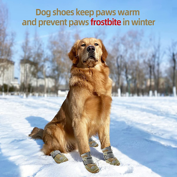Åndbare Hunde-Sko til Alt Vejr, Anti-Slip Hvalpe-Sko Potebeskytter med Reflekterende Strimler