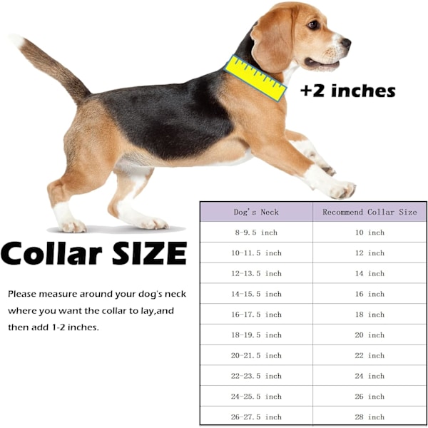 Guld Hundkedja Halsband med Säkert Spänne med Ice-Out Cubic Zirconia Stenar 33K Metall Stainles Steel Cuban Link Kedja Stark Tungt Tjänst Promenad