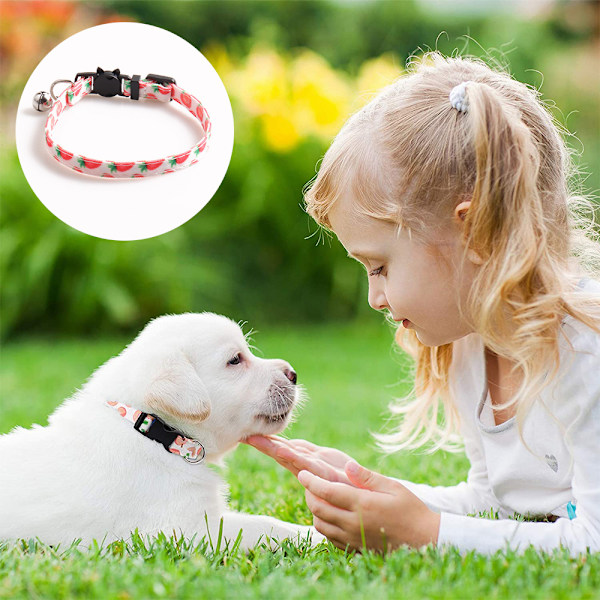 Halsband och koppel set med hundhuva Justerbart halsband passar för hundars dagliga promenader och löpning utomhus