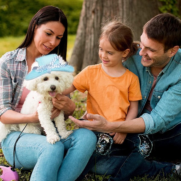 Hundprinsesshatt Rund Brätte Husdjurs Baseballkeps Hund Nät Porös Mössa