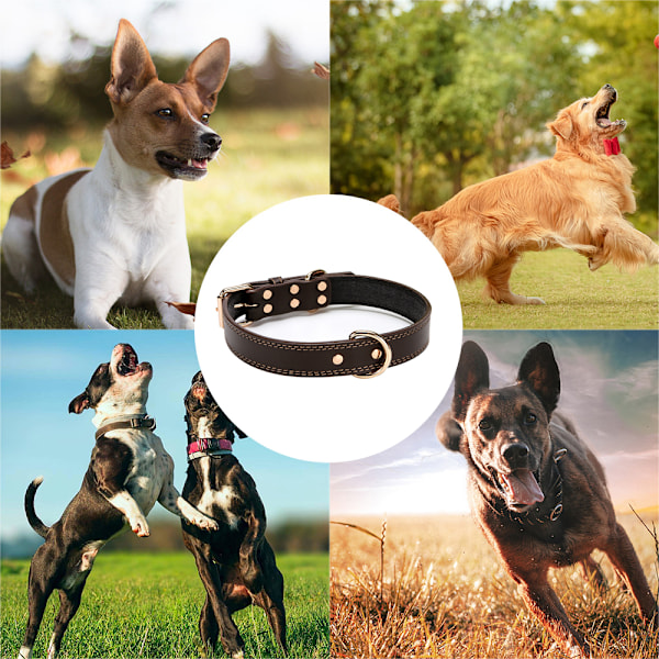 Halsband för hund, mjukt vattentätt läderhalsband för hund, hållbart justerbart läderhalsband för hund