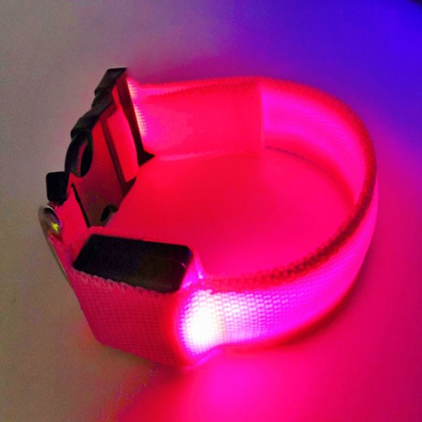 Koiran LED-latautuva valokaulakoru säädettävä heijastava valokaulakoru