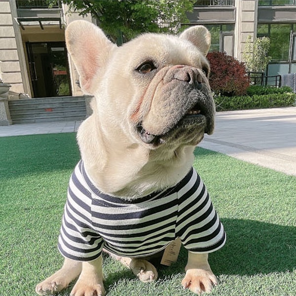 Bomuldstribet Hundetrøje til Store Hunde, Strækbar Åndbar Blød Letvægts Kølig Kæledyrs T-shirt