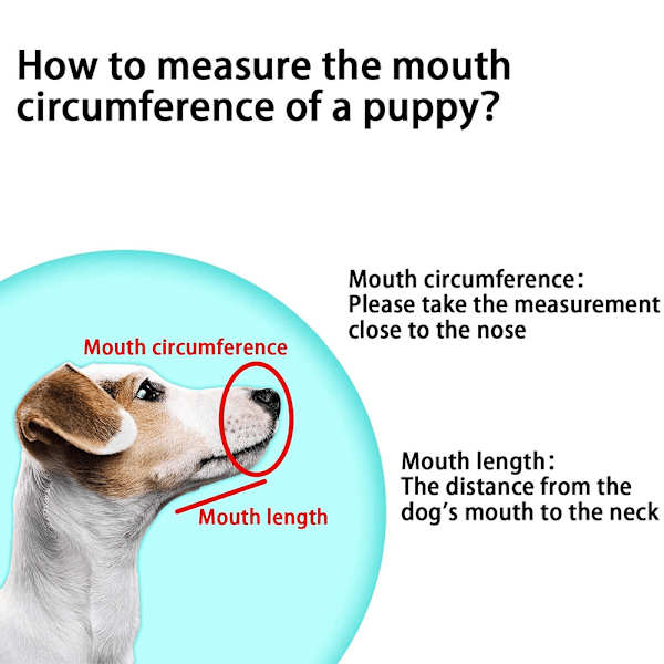 Hundmunstycke Nylon Mjukt Munstycke Anti-Biting Barking Säker, Mesh Andningsbar Husdjur Munskydd för Små Medelstora Stora Hundar