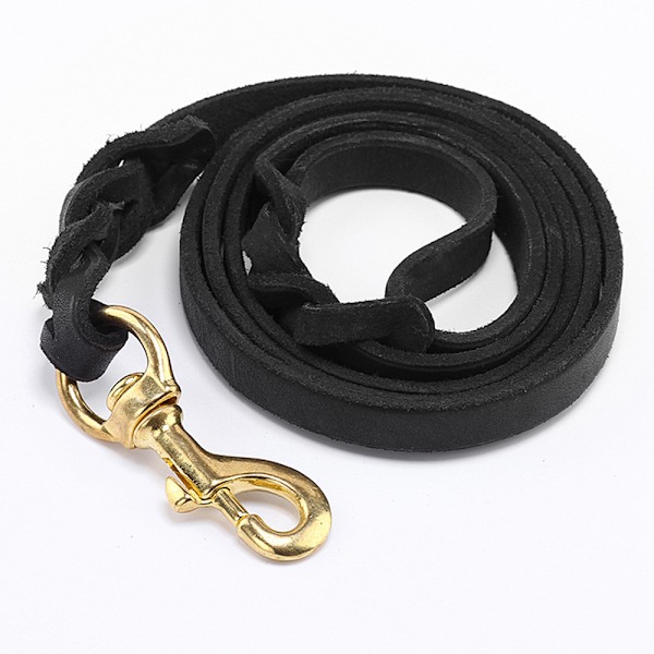 Hundetreningsline med krok, kraftig hundeline for store, mellomstore og små hunder