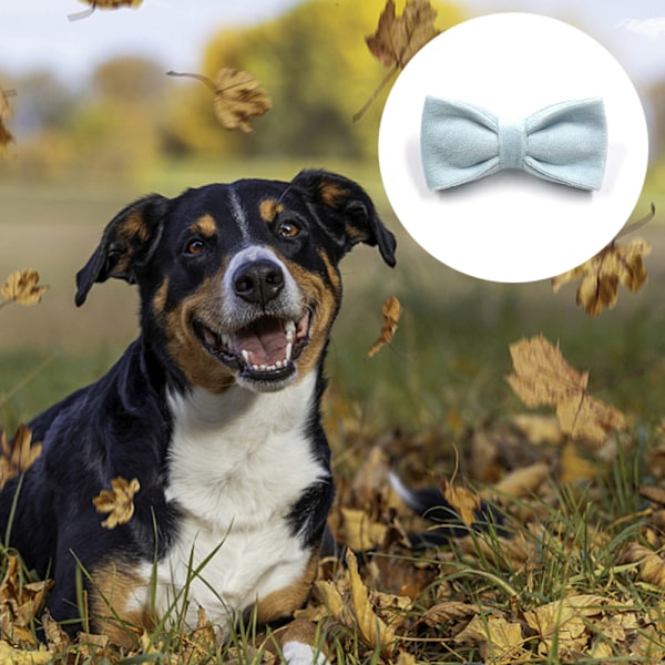 Halsbånd til hund, fløjlshalsbånd med aftagelig sløjfe