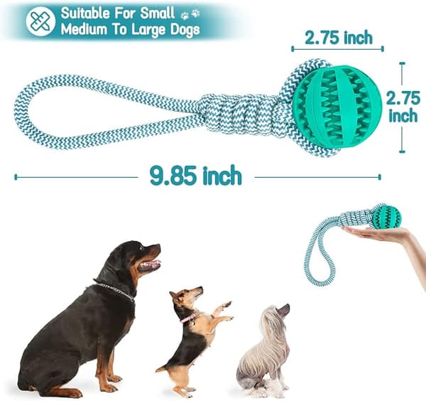 Hundbold legetøj, hundelegetøj gummibold renser tænder, hundetyggebold DXGHC