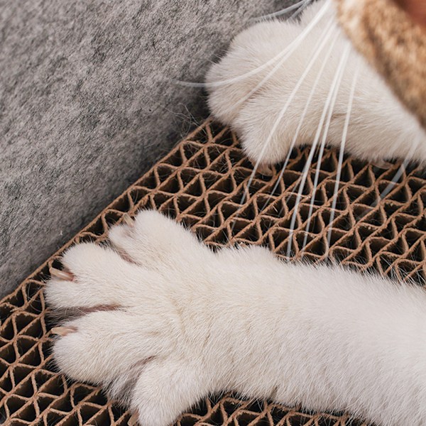 Kattklösbräda, inomhuskattsäng med klösstolpe, kattklösbräda bräda fritidsbädd