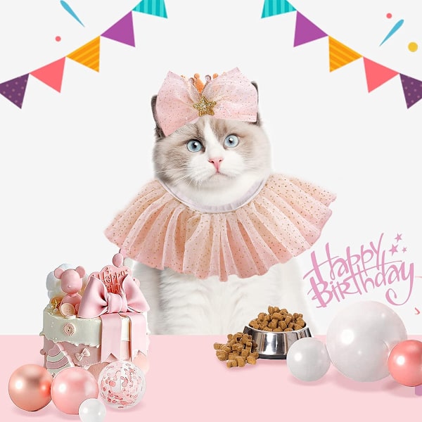 Gullfarget sekken-forkle med krone-sett for katt og hund - Bursdagsfestprinsessebue-tiara for hundebursdag