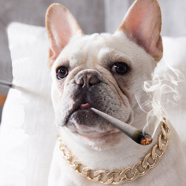 Søt mote hundekrage, egnet for bulldogs, lett metall smykkekjede valpetilbehør