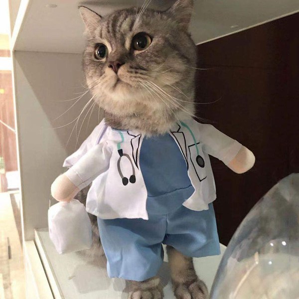 Husdjur Hund Katt Halloween Kostym Läkare Kostym Hund Jeans Kläder Katt Rolig Apperal Outfit Uniform