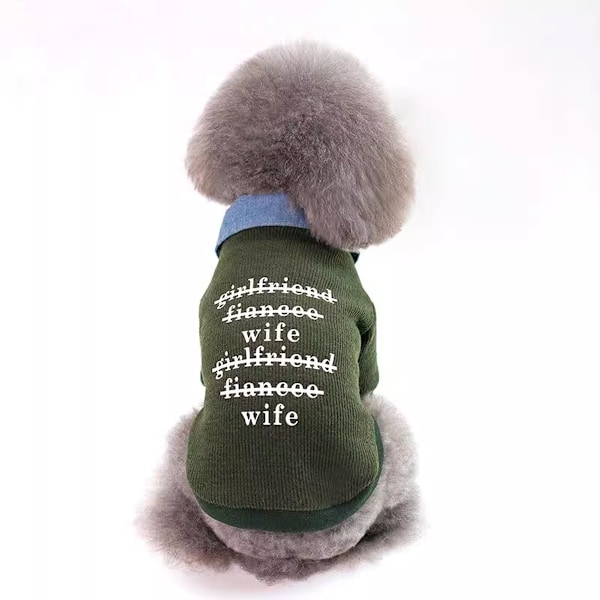 Pet Patchwork Strikket Hundetrøje Varme Katte Vintertøj Til Kolde Dage (Grøn)