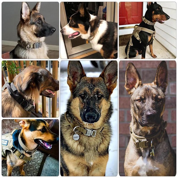 Taktisk Hundehalsbånd Militær Hundehalsbånd Justerbart Nylon Hundehalsbånd Remhåndtag Tung K9