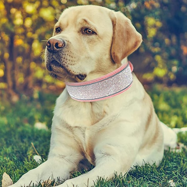 Halsband för hund med strass, mjukt och bekvämt, snyggt hundhalsband med reflexremsa