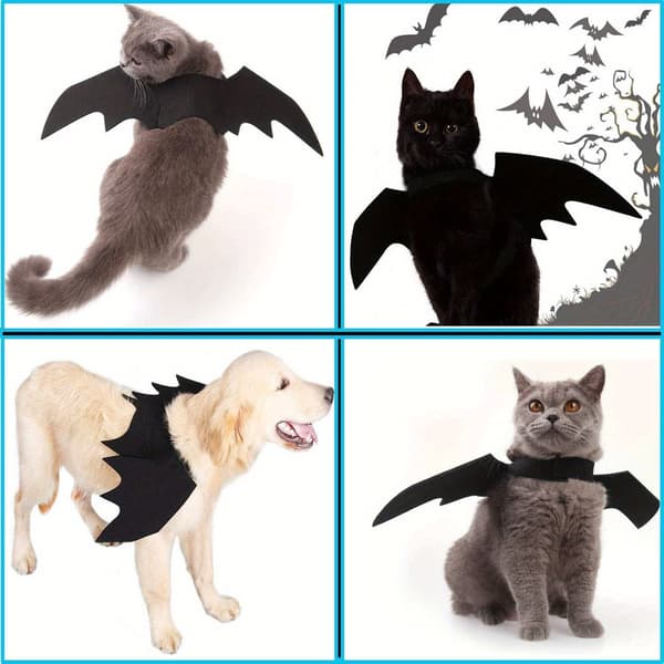 Justerbar flagermusvingedragt til katte og små hunde Blød polyester flagermuskappe til Halloweenfester Sort Black M