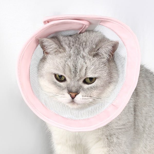 Mjuk kattkon krage för att stoppa slickning och repor sår, kattkon, justerbar krage efter operation