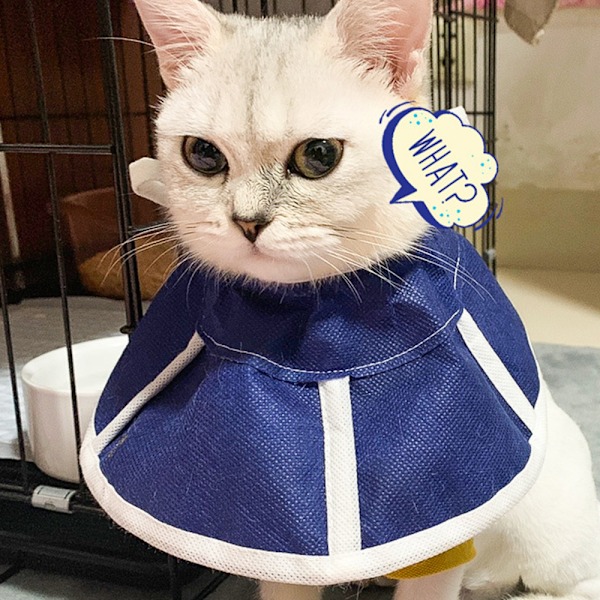 Hundhalsband Justerbar Husdjurshalsband Husdjursåterställningskrage Bekväm Husdjurskrage Halsband Skyddskrage för Efter Kirurgi Anti-Bite Lick Sår Läkning Säkerhet