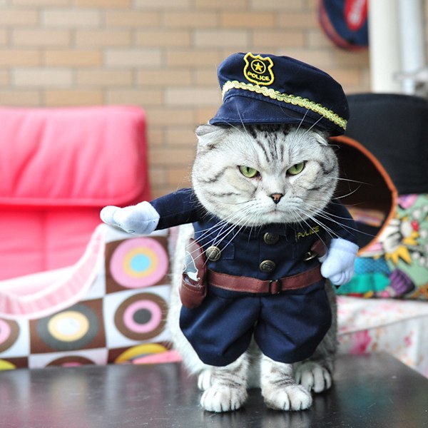 Kostymkläder med hatt Husdjur Hund Katt Halloween-kostymer för fest Jul Specialevenemang Kostymuniform med hatt Rolig husdjur