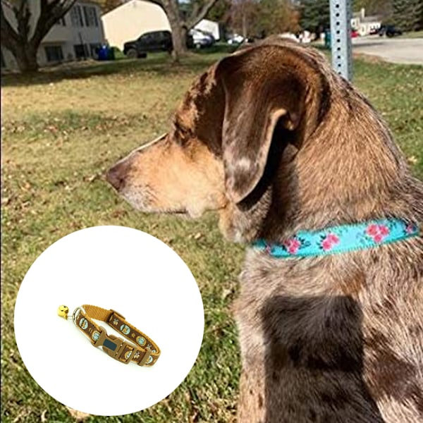 Sommarblommiga hundhalsband, blommönster i nylon, söt valphalsband för
