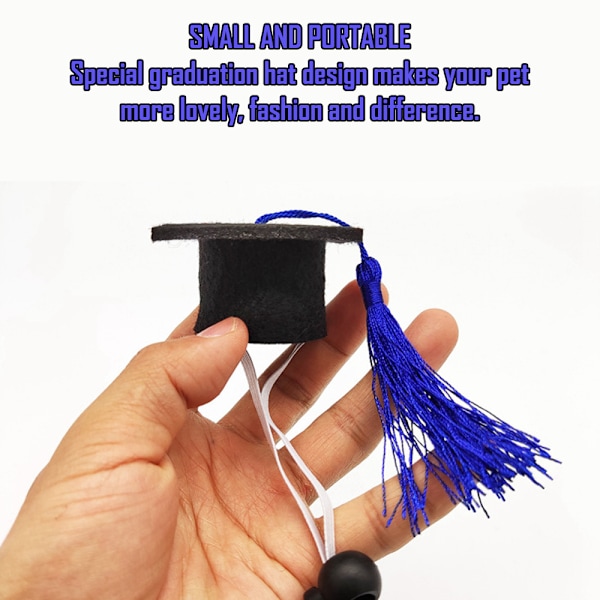 Mini Graduationshuer til Smådyr Mini Bachelorhat til Marsvin