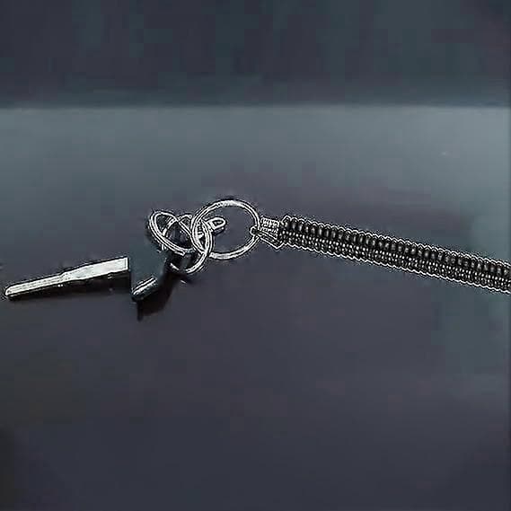 Stretchable Spiral Keychain, 2 Pcs Coil Keychain Stretchable Key Ring with Clip, Safety Spring Key Holder with Carabiner