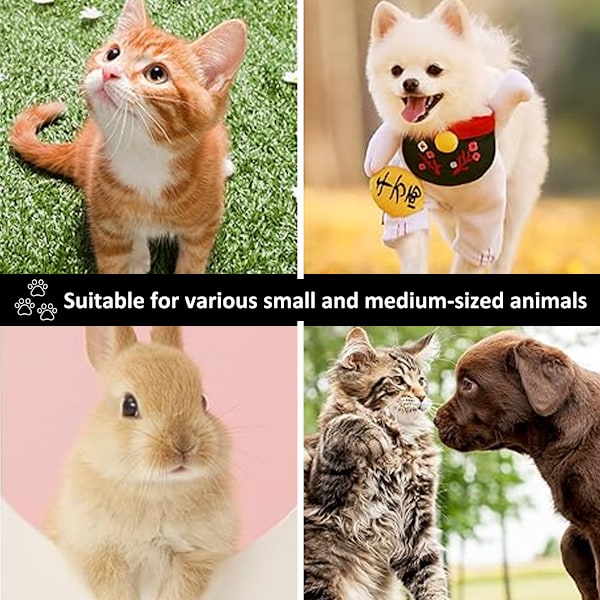 Kattunnel för inomhuskatter, hopfällbar kattunnel leksak, klockboll för husdjur lek valp kattunge kanin