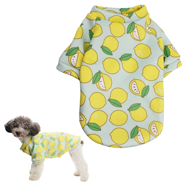 2 stk. kæledyrs tøj Kæledyr todelt sweater Kæledyr sødt tegneserie grøn citron mønster tøj