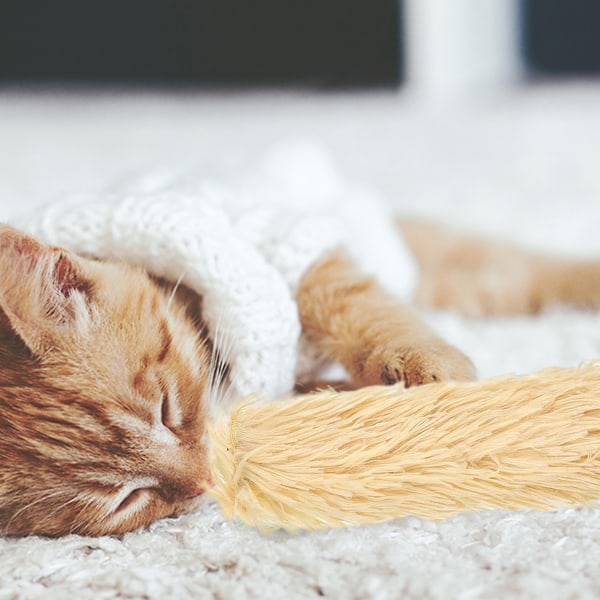 Katt leksaker katt kuddar, mjuka och hållbara Crinkle Sound Catnip leksaker, interaktiva katt kicker leksaker