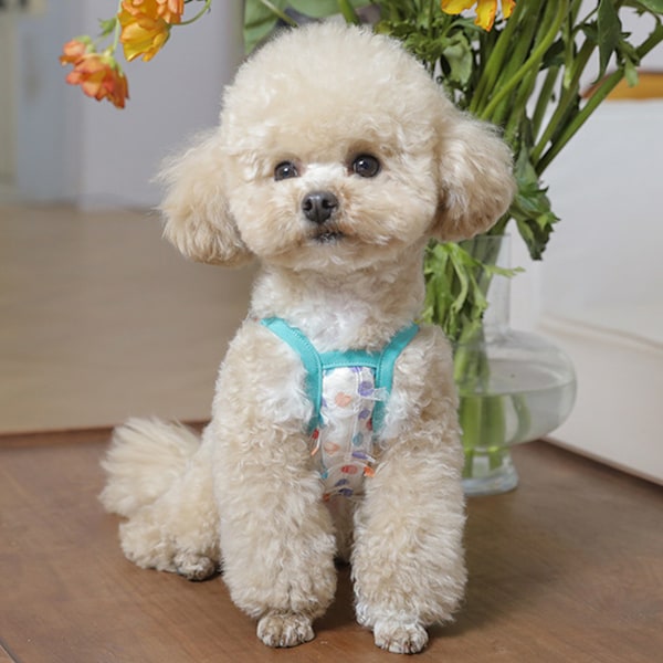 Hundklänning för små hundar Andningsbar Valp Söt Tutu Klänning Söt Kvinnlig Katt Prinsesskläder Sommar Fjärilsoutfit för Teacup Hund Yorkie Chihuahua