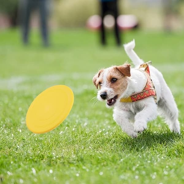 6 stk. Hundefrisbees, Frisbeelegetøj til hunde, Holdbart gummi DXGHC