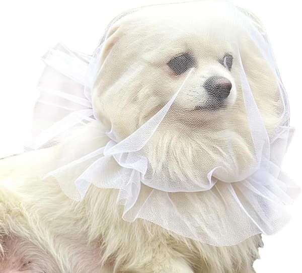 Mesh Muzzle for Dog | Breathable Mesh Drawstring, Adjustable, Lightweight Pet Muzzle - for Small and Medium Breeds Outdoors, Park Training White