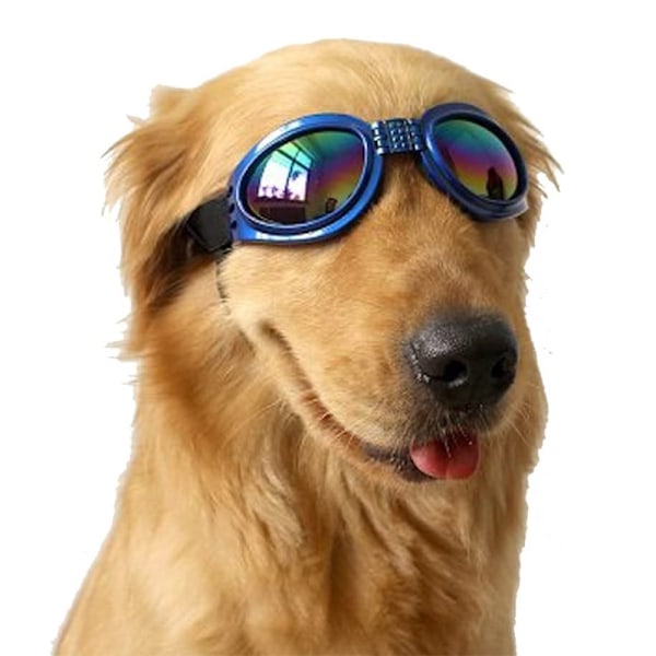 Solglasögon för husdjur med rem, hund UV-glasögon med justerbar hakrem, anti-imma och vindtäta husdjursglasögon solglasögon för små medelstora stora