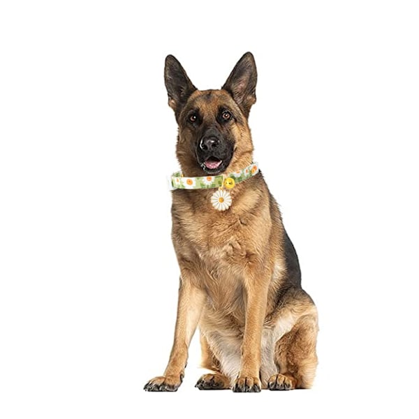 Gul hundedesign blå Daisy hundekrave