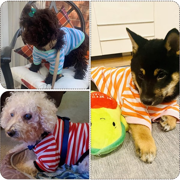 6 stk. Hunde Stribede T-shirts Hundetrøje Åndbar Kæledyrsbeklædning Farverige Hvalpe Sweatshirt Hundetøj til Små til Mellemstore Hunde