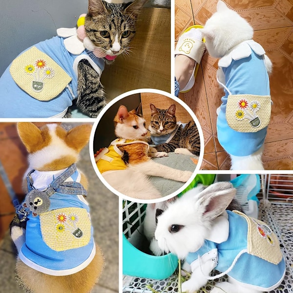Hundskjortor, söt blomma liten hundkjol flicka Tutu kläder valp katt kläder nallebjörn kläder för vår sommar (blå)