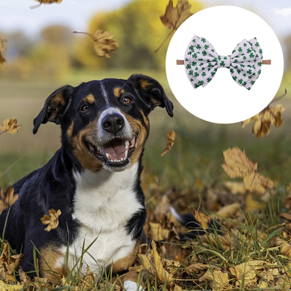 Gul/orange kæledyrs slips krave tilbehør | | Påske gitter slips interessante hunde og katte