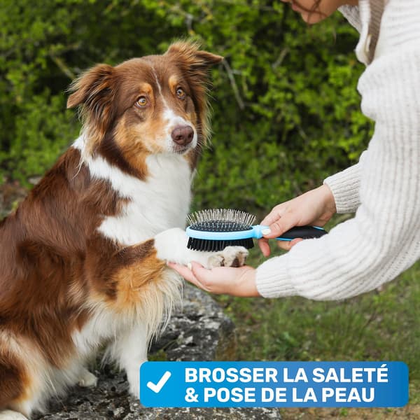 Dobbelbørste for hunder, katter og hester - Glansfull og silkemyk pels - Flokefri